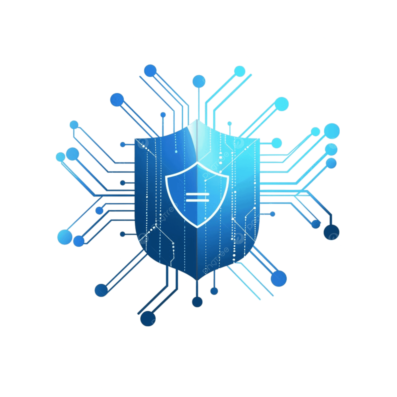 Penetration Testing